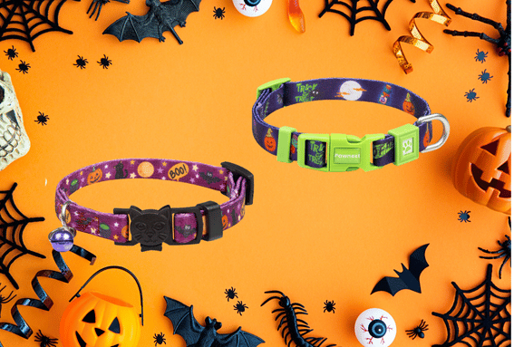 Patili Dostlarla Halloween: Korku Değil, Şefkat Gecesi 