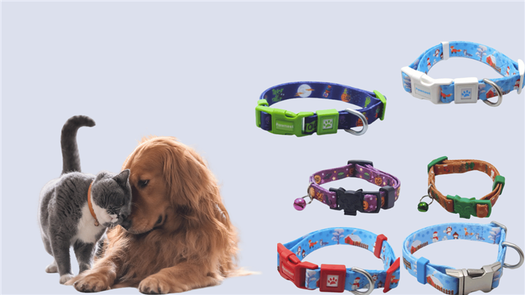 En İyi Kedi ve Köpek Tasması | Güvenlik ve Konfor İçin Özel Tasarımlar PAWNEST